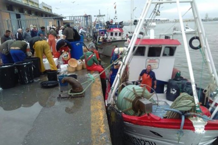 Sector pesquero de Huelva destaca la subida de precios del marisco al haber “más demanda que oferta”