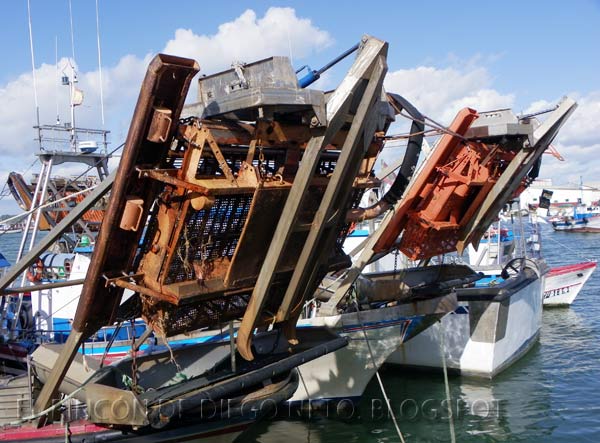 Ayudas a las empresas armadoras afectadas por la inactividad temporal de la flota de draga hidráulica del Golfo de Cádiz