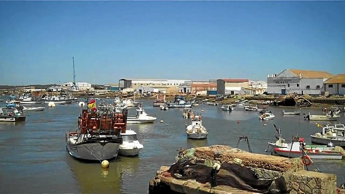 Fomento instalará depuradora de moluscos en el puerto de Isla Cristina
