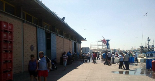 La Cofradía de Pescadores de Isla Cristina contará con una depuradora de moluscos bivalvos