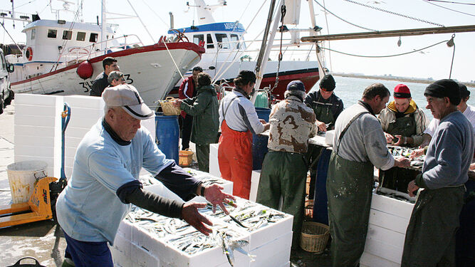 Aplazada en Isla Cristina la reunión del sector del cerco sobre la sardina ibérica