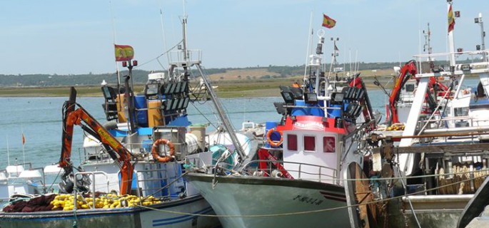 La flota pesquera y la actividad en los puertos del Golfo de Cádiz se reducen ante la caída de la demanda