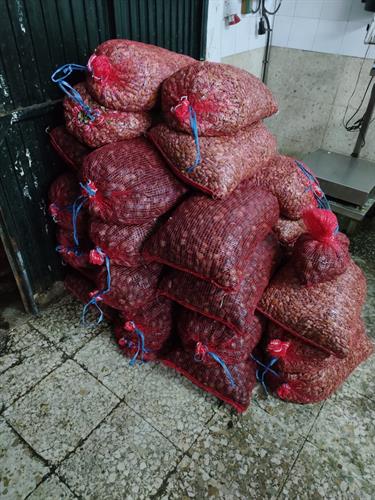 Inspección Pesquera y el Seprona intervienen 783 kilos de bivalvos en una nave ilegal de Isla Cristina