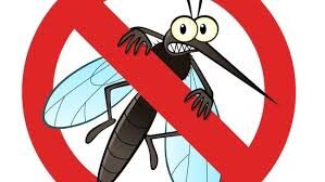 Tratamientos control de mosquitos 30 y 31 de julio en Isla Cristina