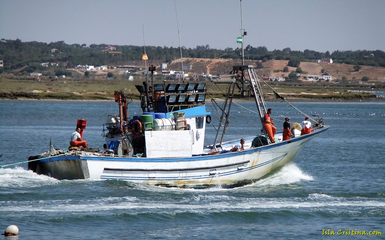 Hasta 2.500 toneladas de sardina se podrá capturar en el Golfo de Cádiz