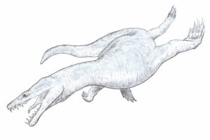 El monstruo marino de Ayamonte. un saurio de hace 220 millones de año.