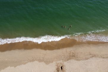 Los municipios de la costa de Huelva no registran incidentes por el cierre de las playas y refuerzan la vigilancia