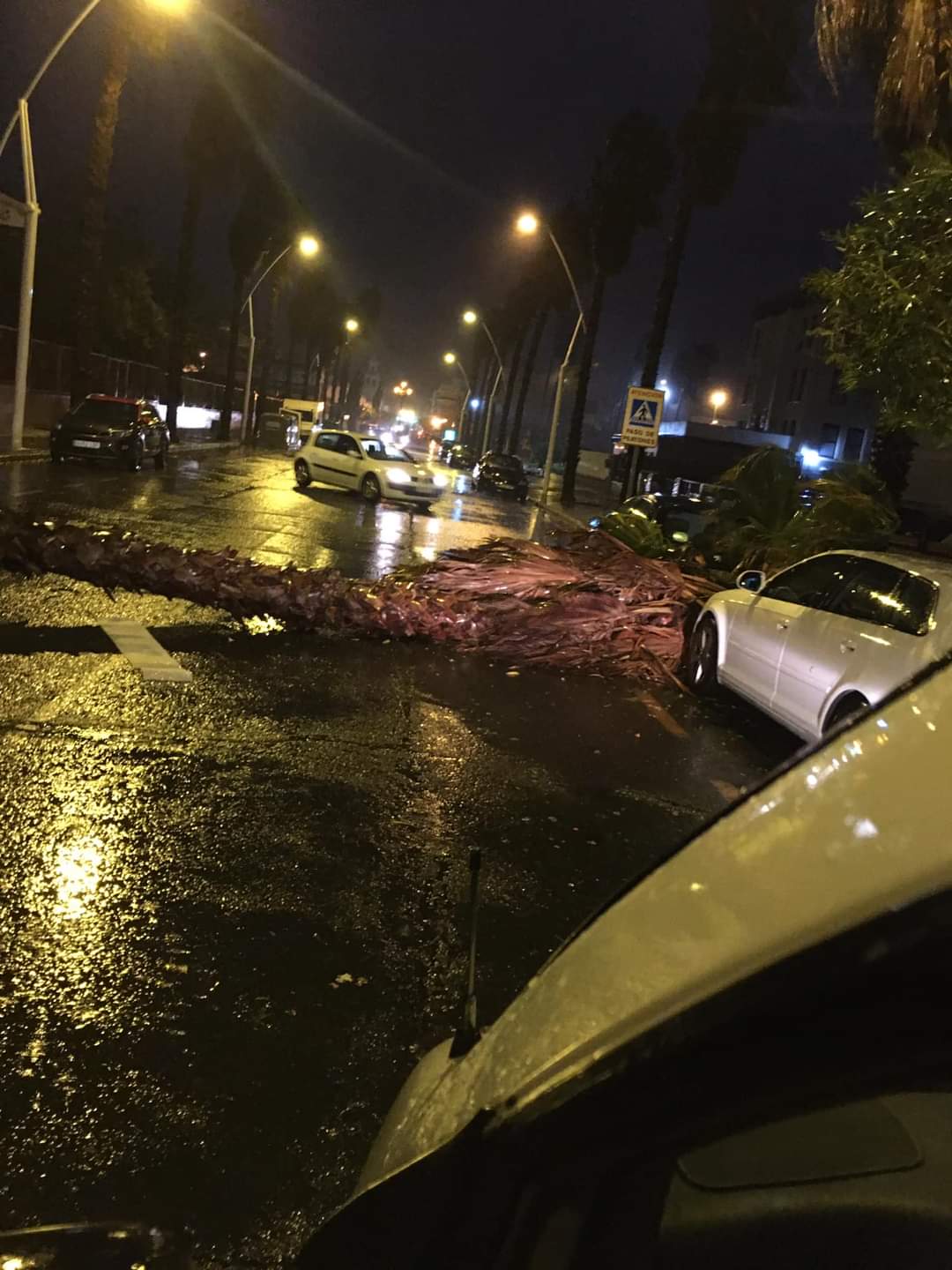La borrasca Bárbara deja un reguero de coches destrozados, árboles caídos y daños en Isla Cristina.