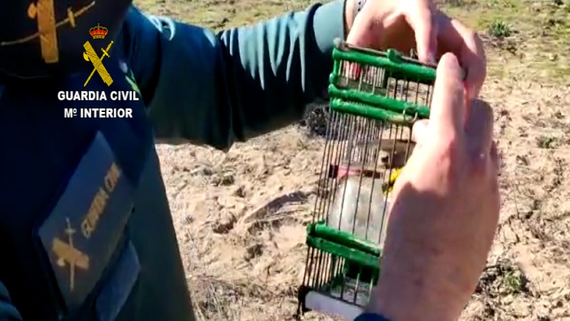 Investigan a dos personas tras ser sorprendidas cazando aves en las marismas de Isla Cristina