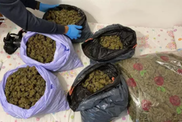 Cuatro detenidos tras localizar 92 plantas de marihuana en Villablanca, Isla Cristina y La Redondela