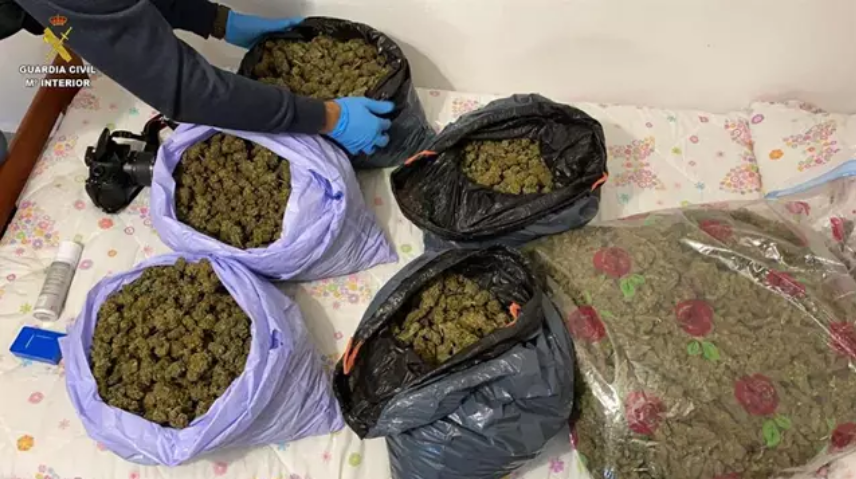 Cuatro detenidos tras localizar 92 plantas de marihuana en Villablanca, Isla Cristina y La Redondela