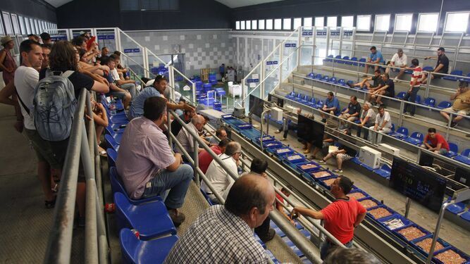 Isla Cristina: La mayor lonja en fresco de Andalucía cerró 2020 con 36,2 millones en ventas