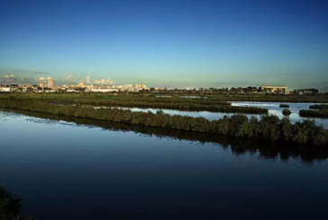 La Diputación de Huelva participa en un estudio europeo para la conservación de la biodiversidad del litoral