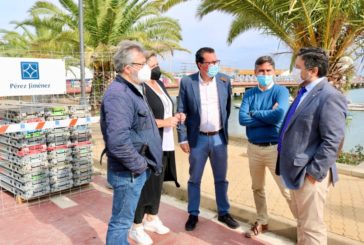 El PP destaca la “apuesta real” del Gobierno andaluz para rehabilitar el puente Infanta Cristina