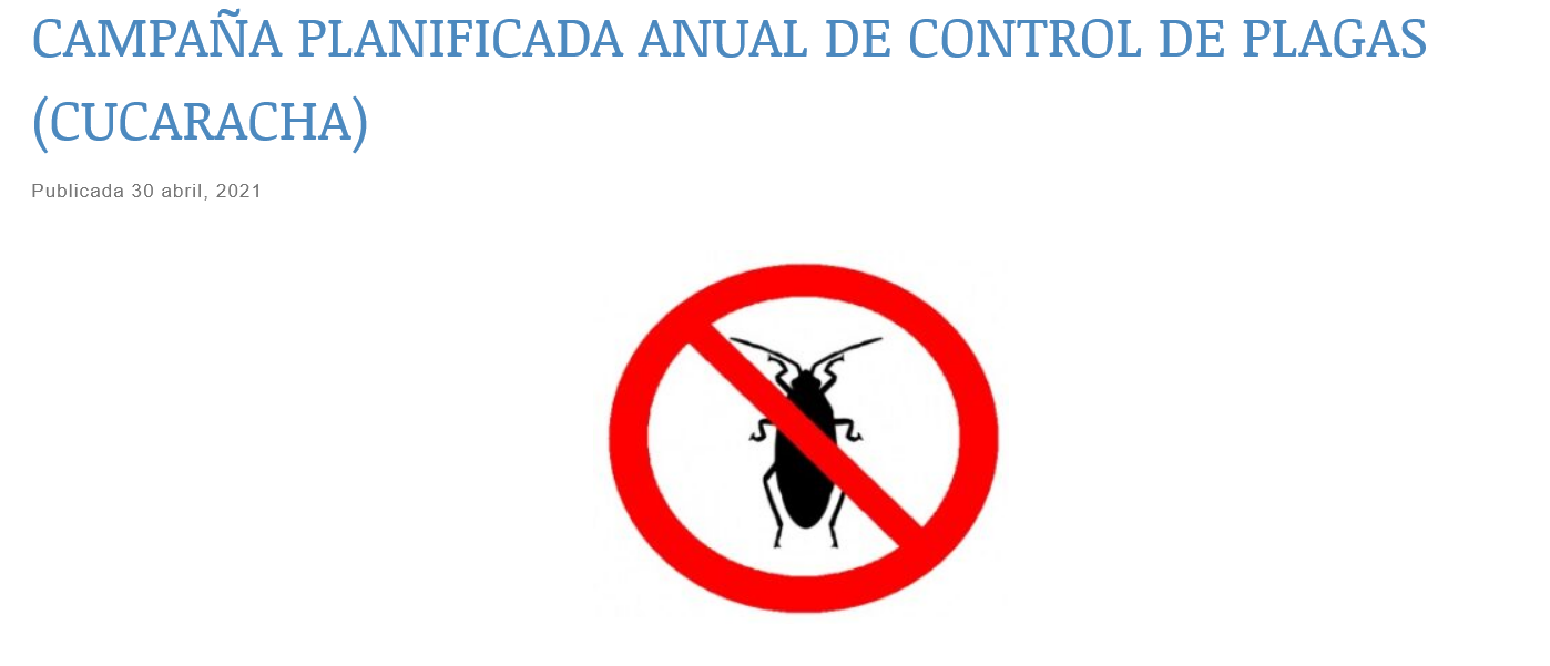 El Ayuntamiento de Isla Cristina le declara la guerra a las cucarachas