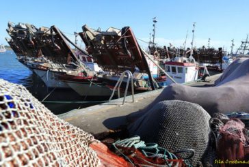 Ayudas a barcos isleños afectados por paros de la pesca de la chirla en el Golfo de Cádiz