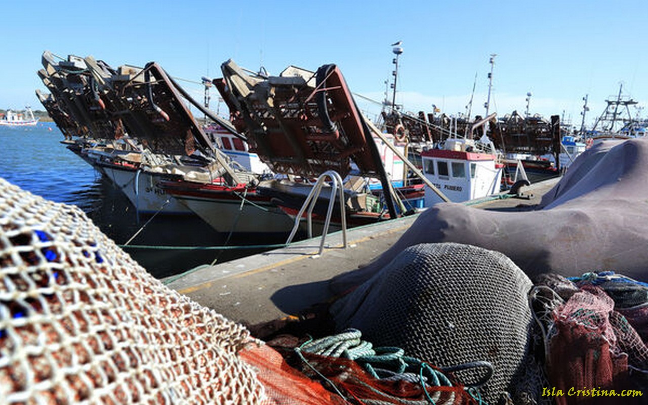 La Junta decreta el cierre de la pesquería de la chirla en el Golfo de Cádiz