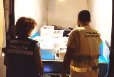 Inspección Pesquera y Policía Autonómica decomisan 120 kilos de pijotas o merluza inmadura en Huelva