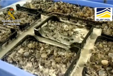 La Guardia Civil de Huelva interviene 16 toneladas de moluscos procedentes del marisqueo ilegal