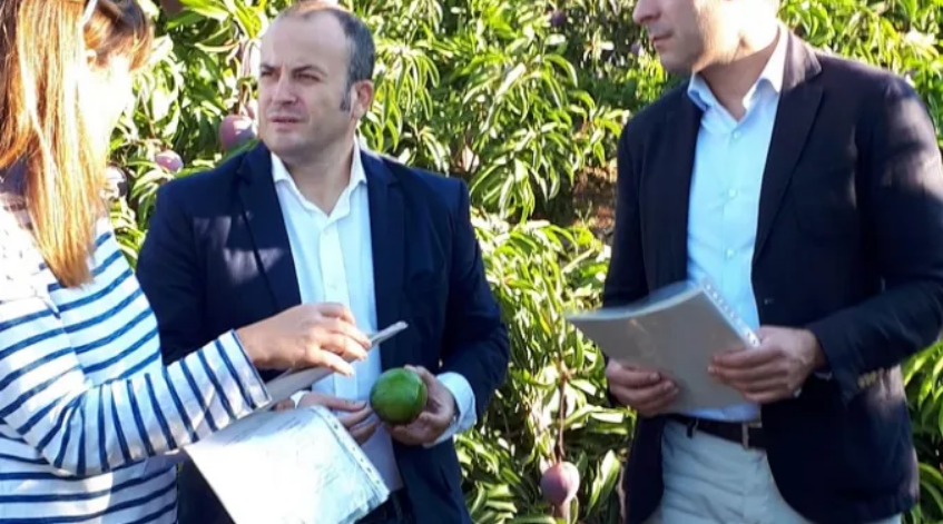 CS Isla Cristina alerta sobre los efectos nocivos para la salud del consumo de fruta robada