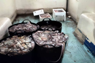Los pescadores del pulpo de Isla Cristina, contarán por primera vez con ayudas para compensar los paros biológicos