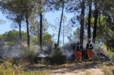 Bomberos del Consorcio extinguen un incendio en un pinar de Islantilla