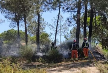 Bomberos del Consorcio extinguen un incendio en un pinar de Islantilla
