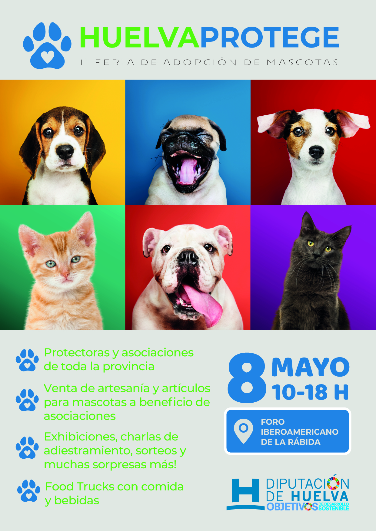 Diputación celebra este domingo en el Foro Iberoamericano la 2ª edición de la Feria Provincial de adopción de animales ‘Huelva protege’