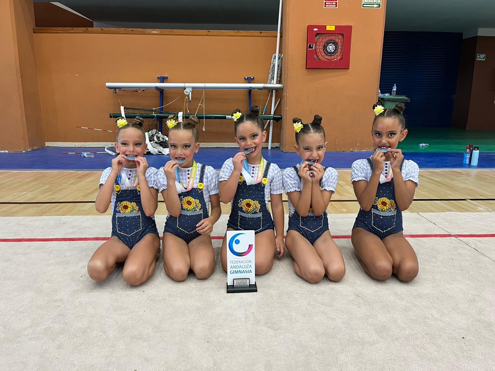 Cinco gimnastas del Club de Gimnasia Rítmica «La Higuerita» se proclaman subcampeonas de Andalucía