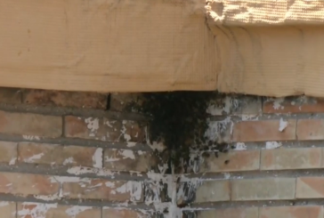 Una plaga de abejas pone en jaque a unos vecinos de Isla Cristina