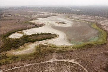 La laguna permanente de Doñana se seca por segundo año consecutivo, algo que 