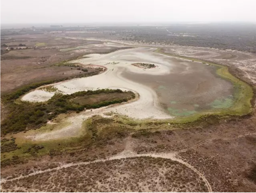 La laguna permanente de Doñana se seca por segundo año consecutivo, algo que “nunca” se había registrado