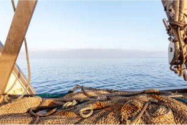 El patrón de pesca de Huelva retenido en Mauritania regresa a España después de 45 días