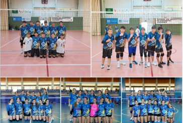 Pleno de victorias del Club Voleibol Isla Cristina