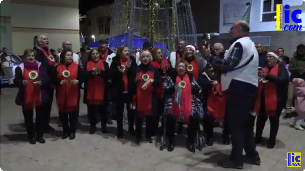 Video: Encendido del Árbol de Navidad de la Asociación de San Francisco de Asís-Isla Cristina