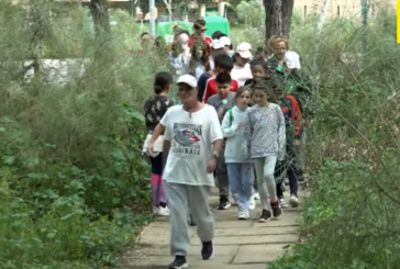 Video: Acción dirigida a escolares 