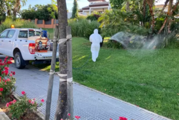 Diputación de Huelva pone en marcha un dispositivo entre el 11 y el 22 de marzo ante la proliferación de mosquitos