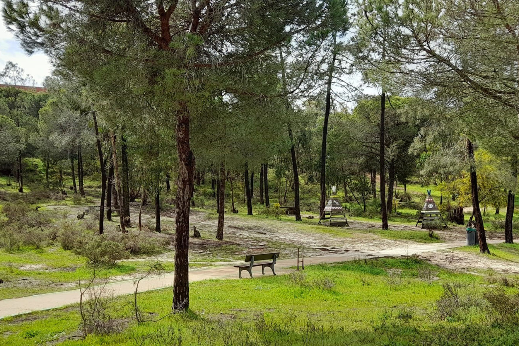 Actuaciones en el Parque ‘El Camaleón’ y el Parque de los Cabezos