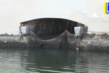 Video: Antiguo Molino de Mareas de Pozo del Camino - Isla Cristina